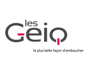 geiq-partenaires réseau académie des possibles
